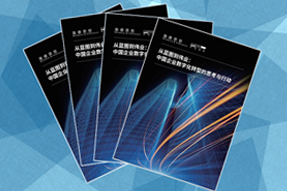《从蓝图到伟业：中国企业数字化转型的思考与行动》