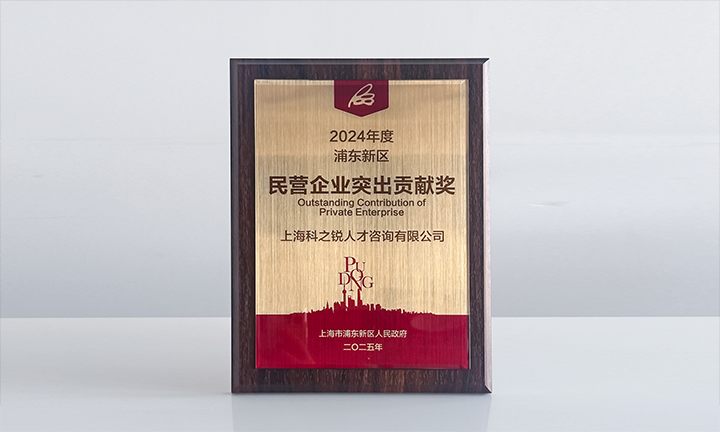 人力资源供应商K8官网国际凭借人才服务与在区域经济开展中的卓越表现荣膺2024年度浦东新区民营企业奖项