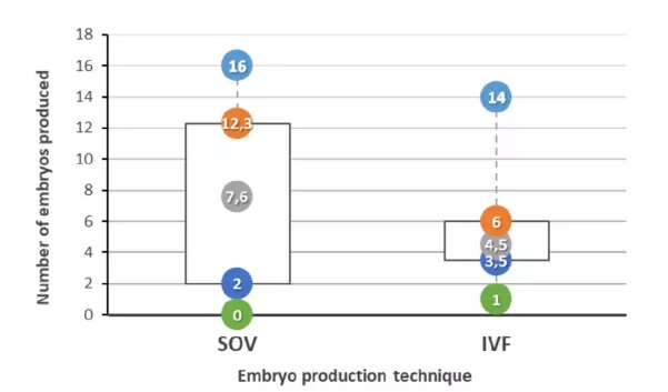 采用不同的SOV和体外受精（IVF）技术，在5个不同的集合中，所有10头母牛产生的胚胎数量（最小（绿色）、Q1（深蓝色）、平均（灰色）、Q3（橙色）和最大（浅蓝色）