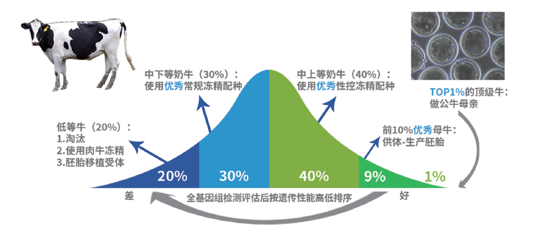 全基因组检测评估